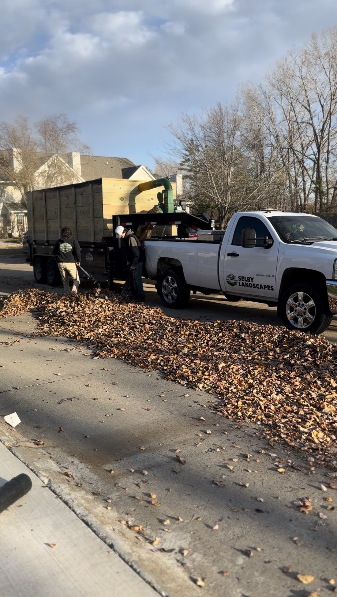 Fall Cleanup